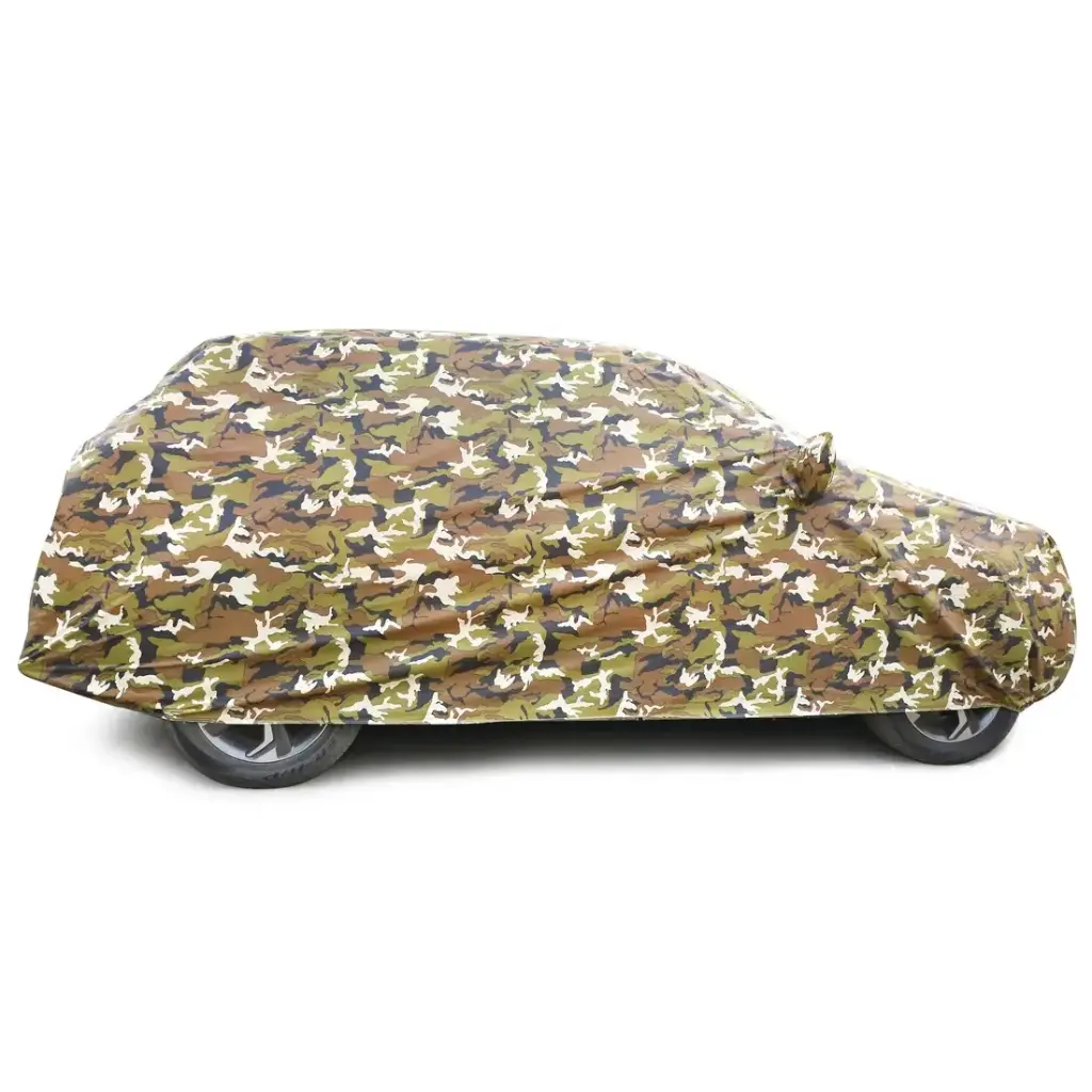 carcover 3.webp